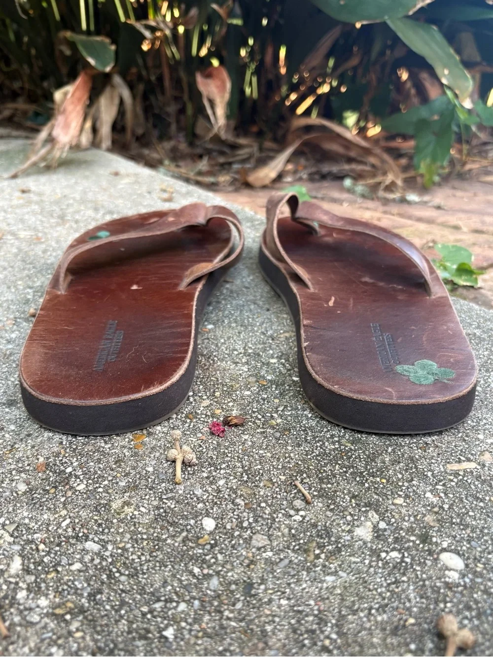 American Eagle AEO Brown Leather Men’s Thong Sandal Sz 9 Casual Preppy College